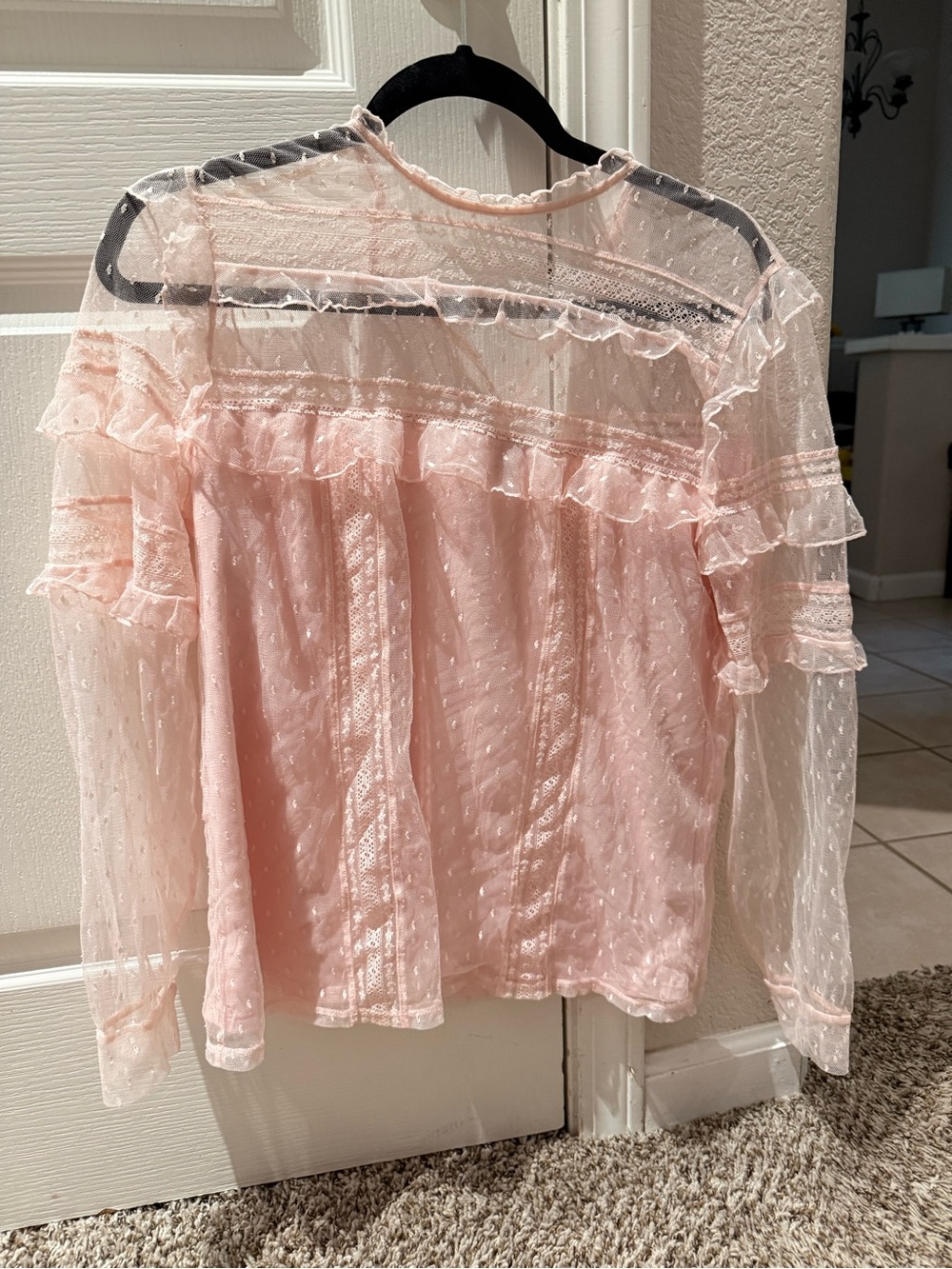 Express Sheer Ruffle Swiss-Dot Blouse - Light Pink